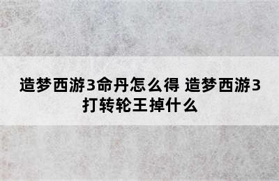 造梦西游3命丹怎么得 造梦西游3打转轮王掉什么